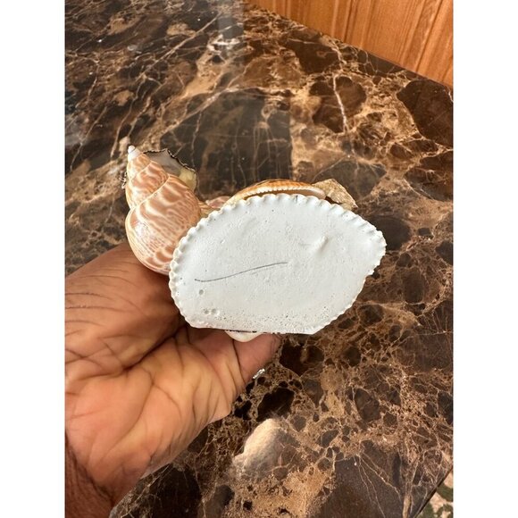 Handmade Shell Frog Figurine With Googly Eyes & Stick Sea Shells StarFish Beach - Picture 5 of 12